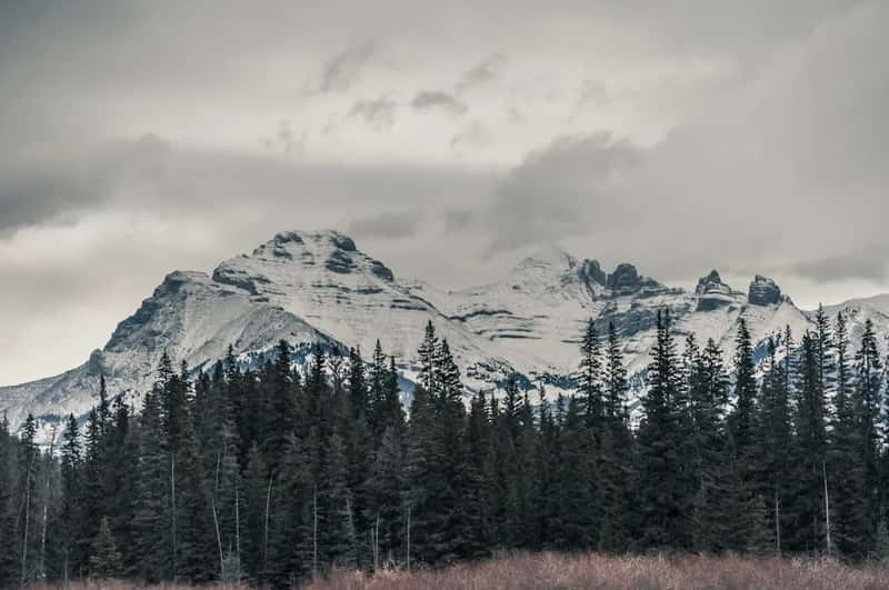 6. Canada (Image Credits: Unsplash)