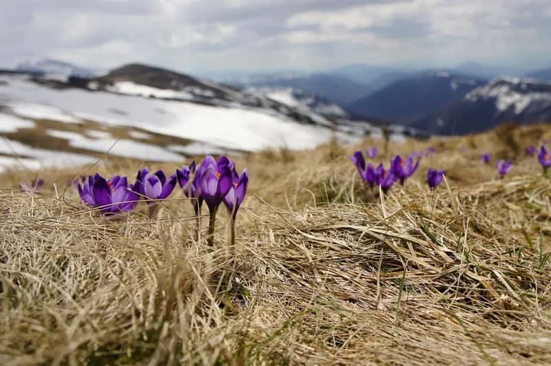 Switzerland (Image Credits: Unsplash)