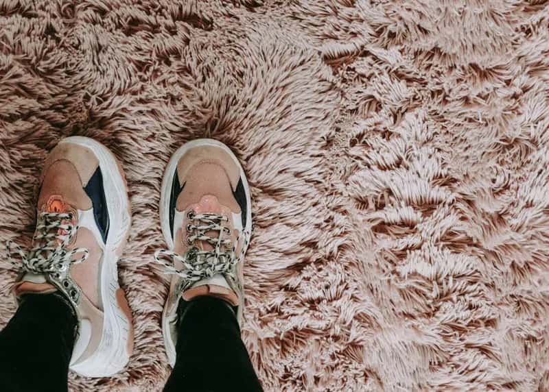 #12 - Shag Carpet in Places It Was Never Supposed to Go (Image Credits: Pexels)