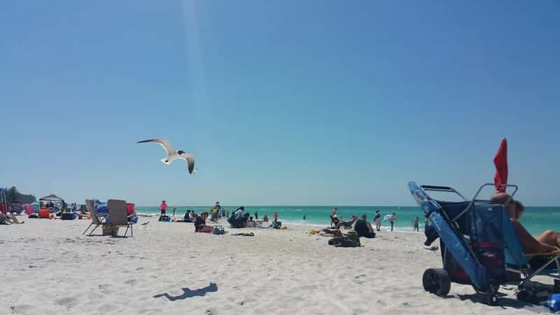 #21 - Spending a Full Day at the Beach With Zero Sunscreen (vanhookc, Flickr, CC BY-SA 2.0)