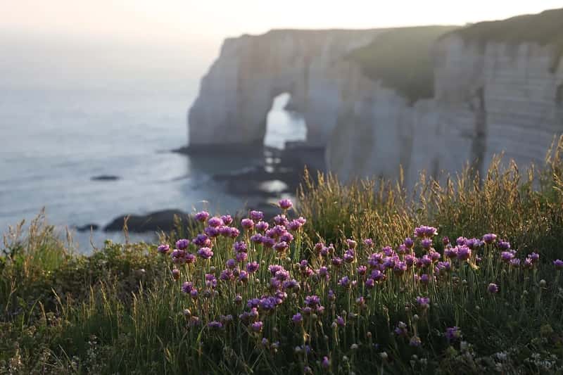 Why Nature Never Promised Permanence (Image Credits: Pixabay)