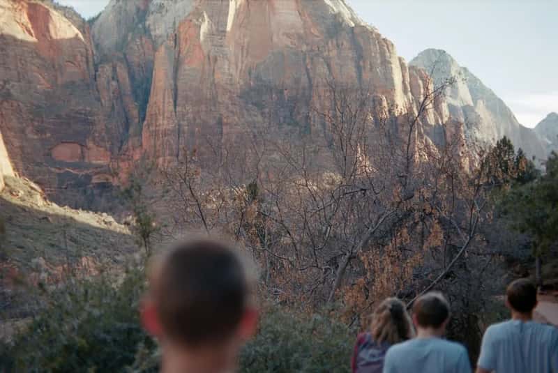 Zion National Park: a small canyon carrying a massive crowd (Image Credits: Unsplash)