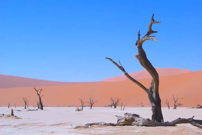 Namibia: Africa's Wide Open Wonderland (Image Credits: Unsplash)