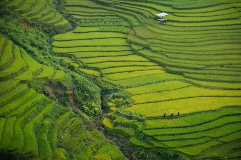 Vietnam: Living History and Authentic Heritage (Image Credits: Unsplash)