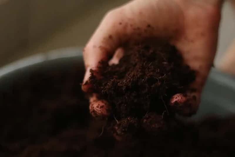 #15 - Your Soil Is Already Alive, and You're Probably Killing It (Image Credits: Unsplash)