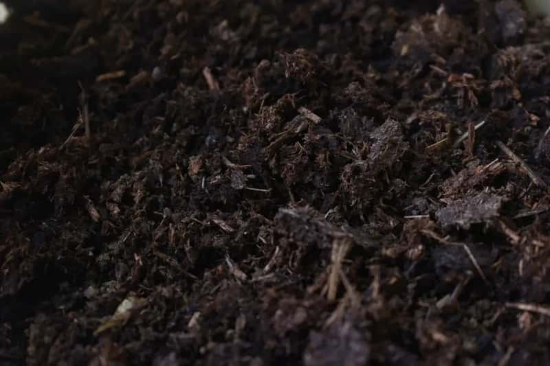 #12 - Compost Is "Black Gold" for a Reason, but You're Probably Using It Wrong (Image Credits: Unsplash)