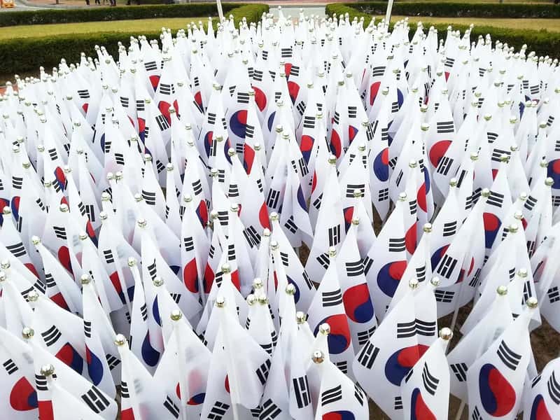 1. South Korea: The Most Extreme Case on the Planet (Image Credits: Pixabay)