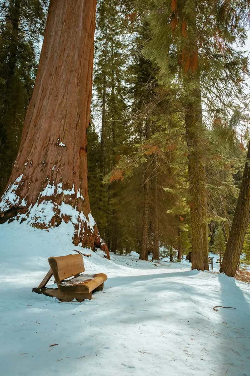 Winter is the quiet season most travelers overlook (Image Credits: Unsplash)