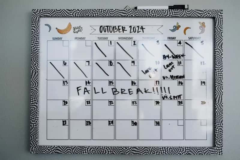 #3 - Using a Single Wall Calendar to Organise the Entire Family's Life (Image Credits: Pexels)