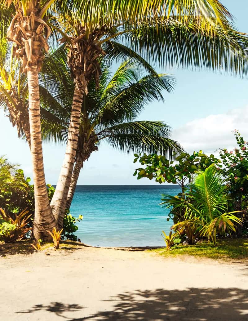Playa del Carmen: the Caribbean pull for a different kind of retiree (Image Credits: Unsplash)
