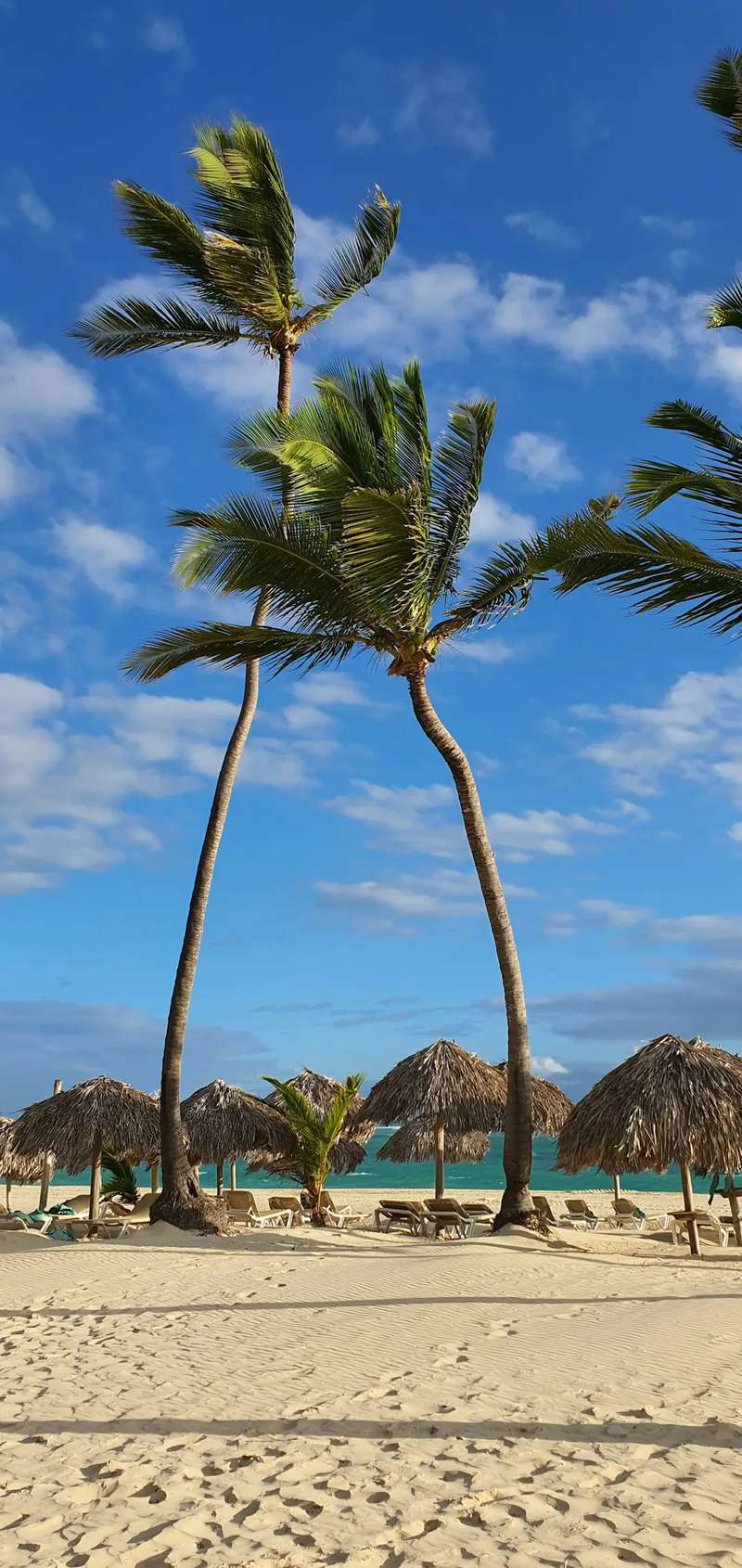 3. Dominican Republic (Image Credits: Unsplash)