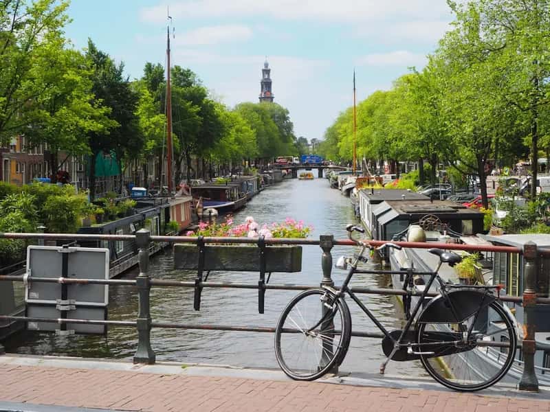 The Netherlands: Practical Comfort at Its Best (Image Credits: Unsplash)