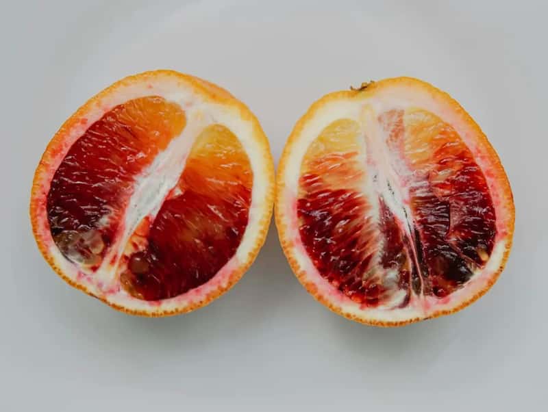 Blood Oranges for a Film Set in Mexico City (Image Credits: Unsplash)