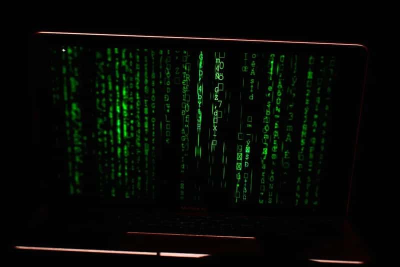 Hotel Data Breaches Feed the Scam Machine (Image Credits: Unsplash)