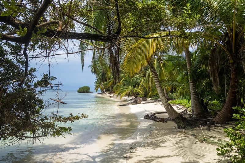 Ojochal, Costa Rica: Jungle Paradise with Pura Vida (Image Credits: Pixabay)