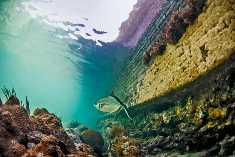 What Makes Dry Tortugas Water So Exceptionally Clear (Image Credits: Shutterstock)