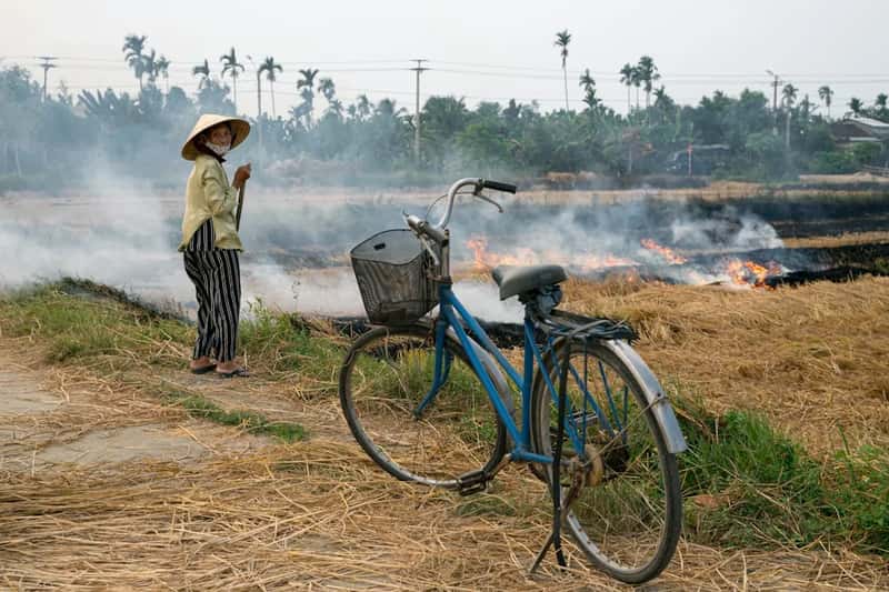 Southeast Asia's heat alerts become routine business (Image Credits: Unsplash)