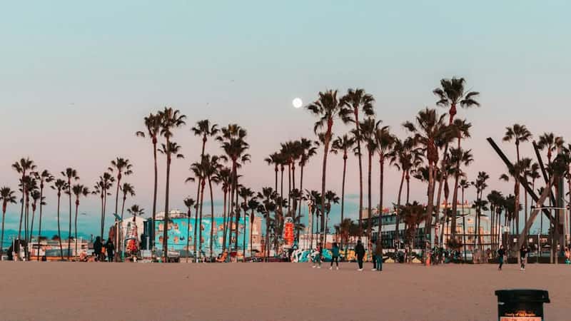 4. Los Angeles (Image Credits: Unsplash)