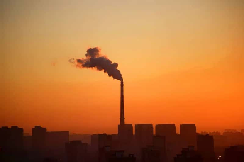The environmental trade-off nobody loves (Image Credits: Pexels)