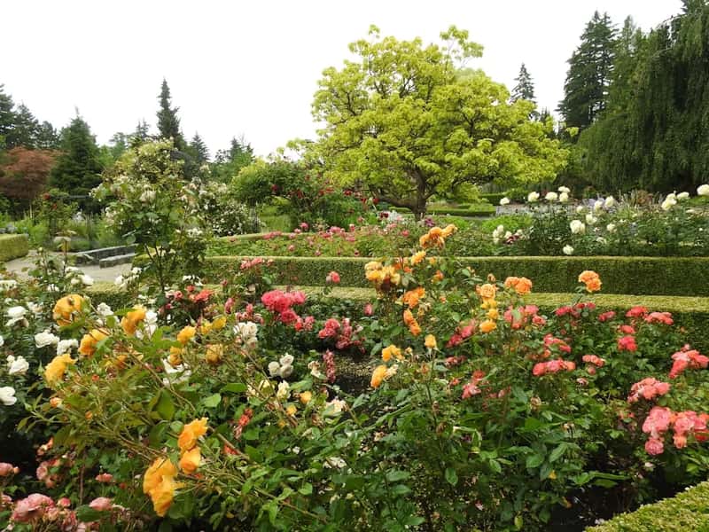 Dow Gardens and a surprising amount of nature (Image Credits: Unsplash)