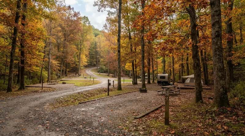 #12 - West Virginia: The Biggest Cut Only Applies When the Leaves Fall (Image Credits: Gemini)