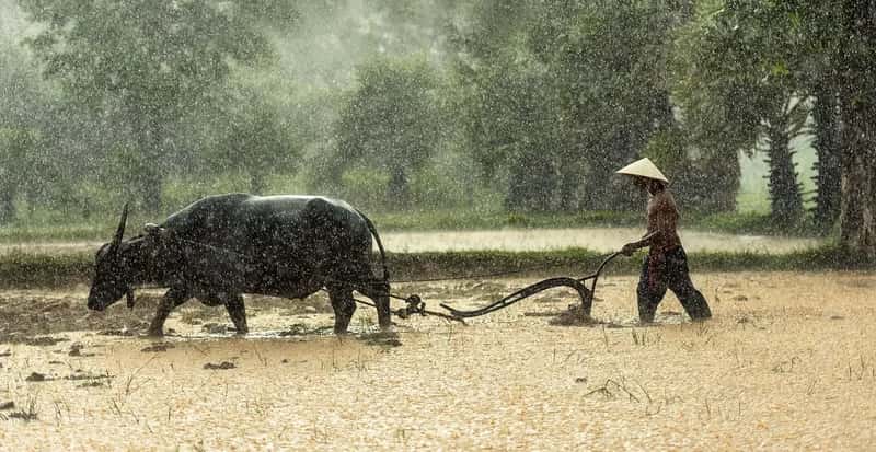 Weather Reality Check: It Doesn't Rain All Day (Image Credits: Pixabay)