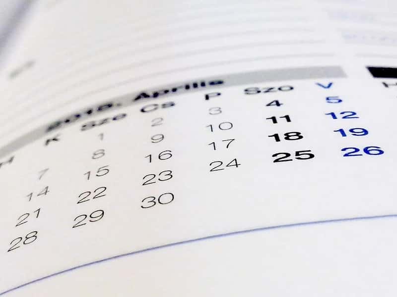 The seasonal calendar matters more than people expect (Image Credits: Pixabay)
