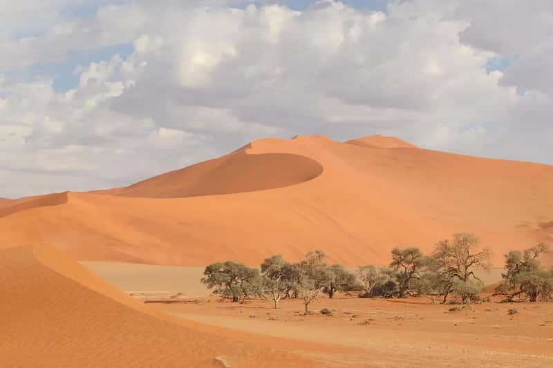 Namibia Leads the African Continent (Image Credits: Pixabay)