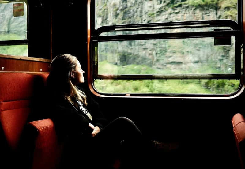 The Nervous System That Never Got The Memo (Image Credits: Unsplash)