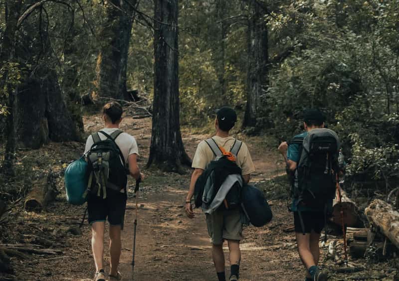 1. The Uniqueness Wound (Image Credits: Pexels)
