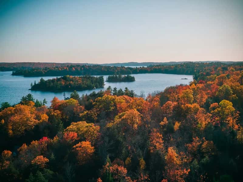 Canada's answer: no thanks (Image Credits: Unsplash)