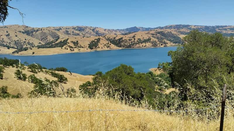 Drought and a Warming Climate Make Things Worse (Image Credits: Unsplash)