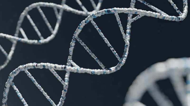 What DNA and Trade Goods Reveal (Image Credits: Unsplash)