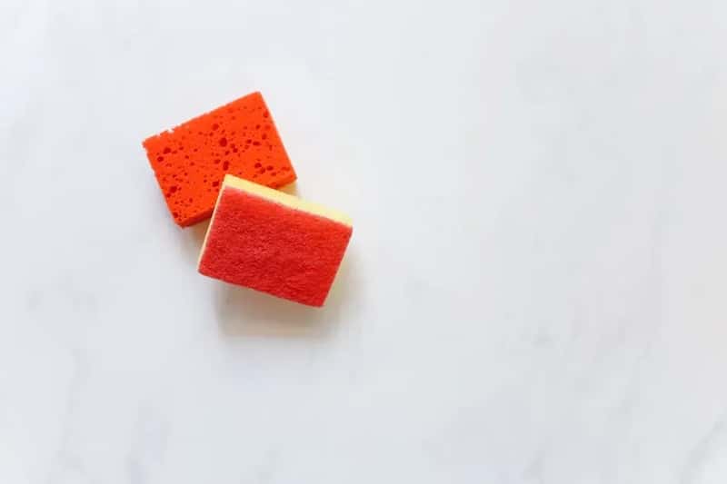 5. The Kitchen Sponge and Dish Cloths (Image Credits: Pexels)
