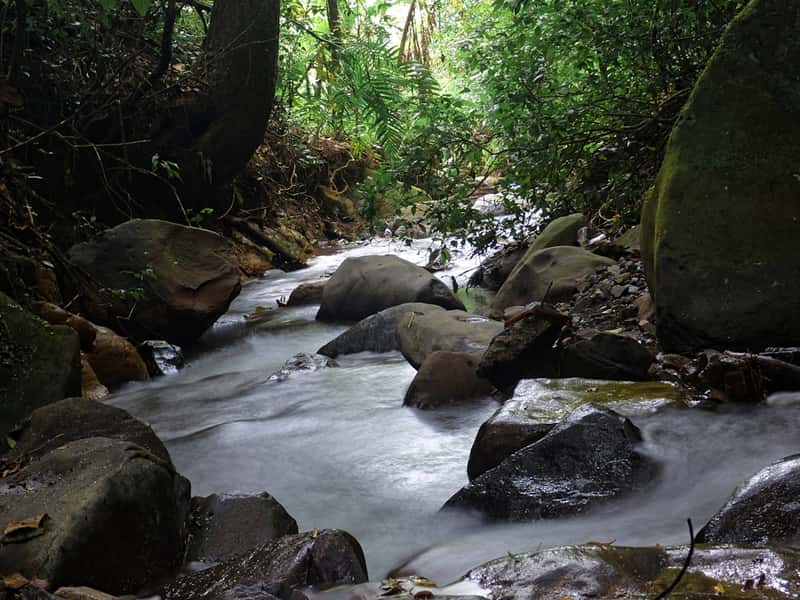 Costa Rica: Central America's Peaceful Paradise (Image Credits: Unsplash)