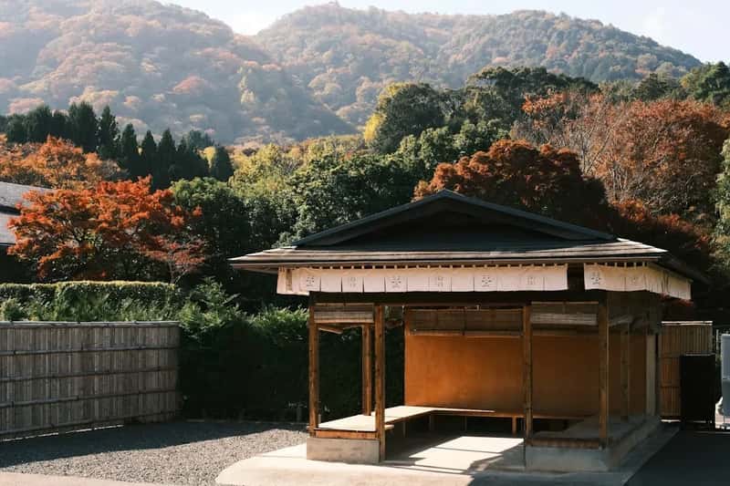 3. Kyoto, Japan - A Sacred City Drowning in Selfie Sticks (Image Credits: Unsplash)