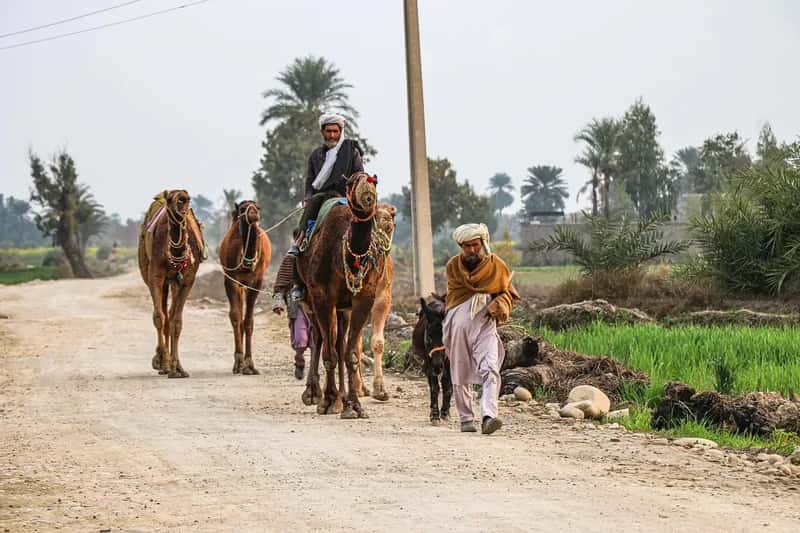 Pakistan (Image Credits: Pixabay)
