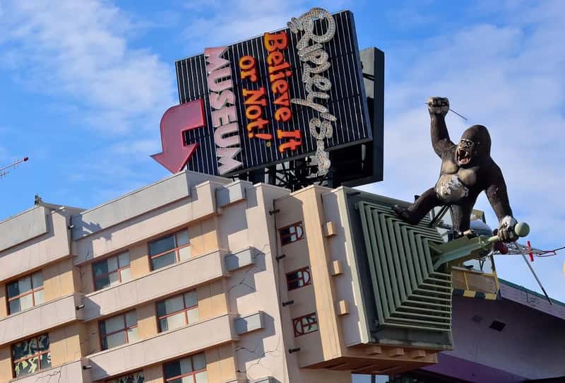 21. Ripley's Believe It or Not! Museums (Nationwide) (Image Credits: Pixabay)