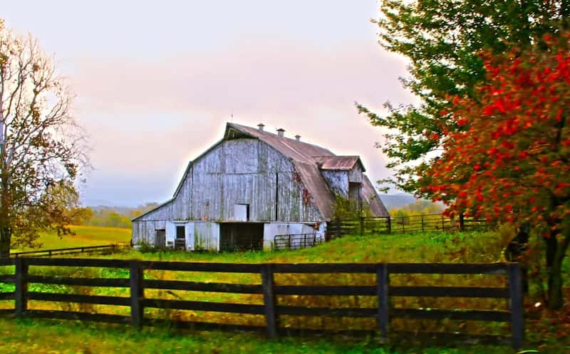 6. Kentucky (Image Credits: Unsplash)