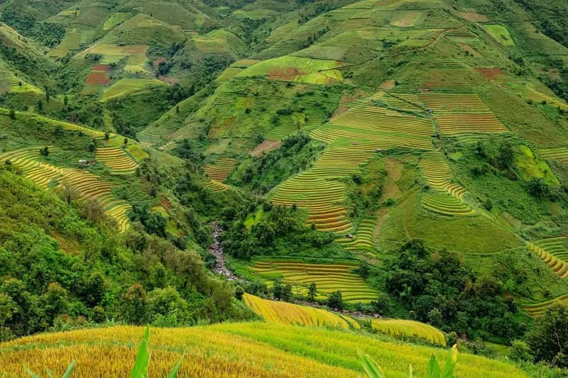 What This Means For Global Food Security (Image Credits: Pixabay)
