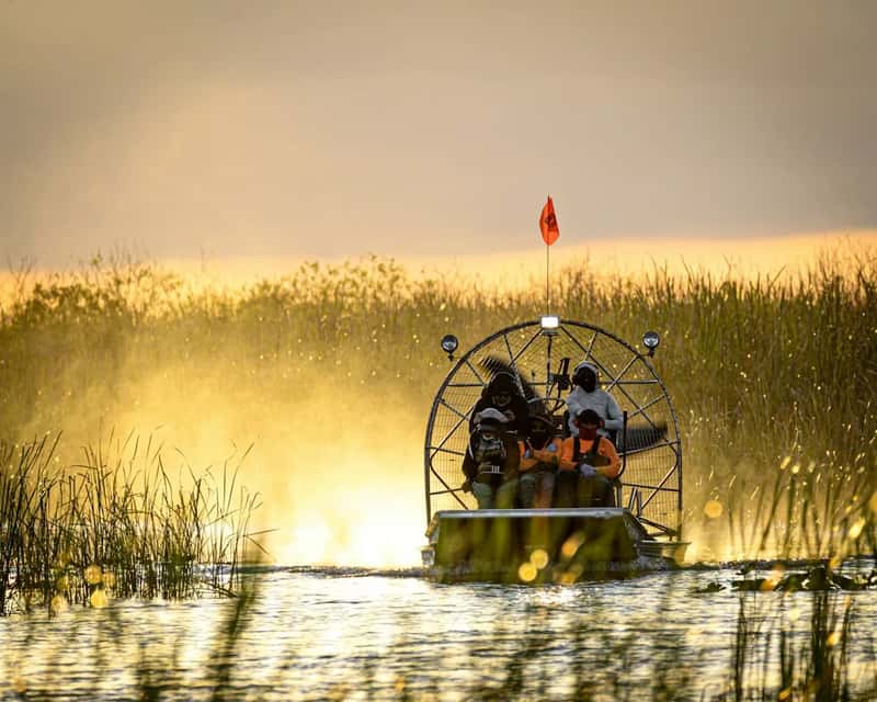2. Getting lost in the Everglades on purpose (Image Credits: Unsplash)