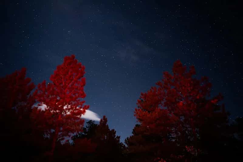 8. Westcliffe, Colorado - Stargazing, Sangres, and Stunning Affordability (Image Credits: Unsplash)