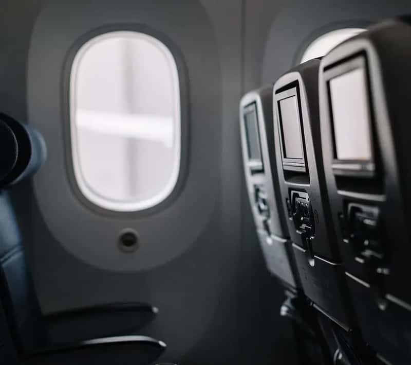 #4 - The Cabin Isn't Automatically Less Stressful Than Cargo for Your Pet (Image Credits: Pixabay)