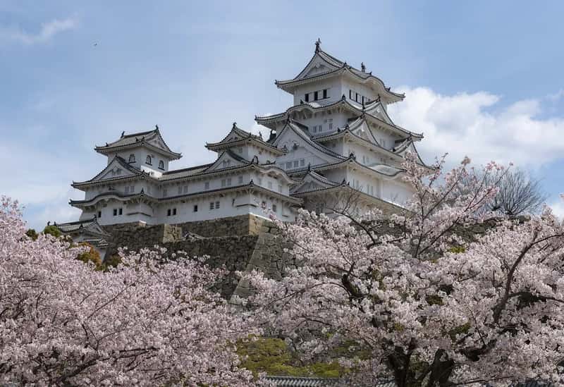 7. Japan: The Breakout Star of American Travel (Image Credits: Pixabay)