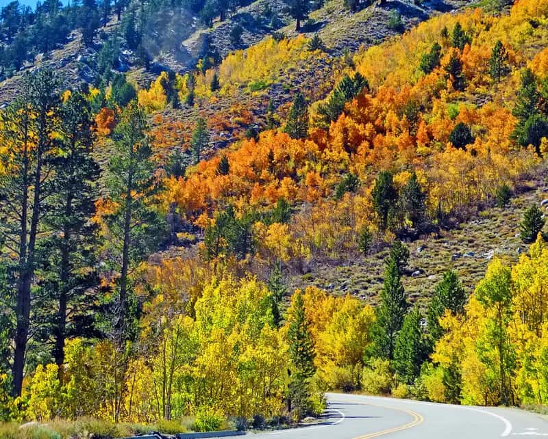 The Numbers Behind Nevada's Dry Crown (inkknife_2000 (14 million views), Flickr, CC BY-SA 2.0)