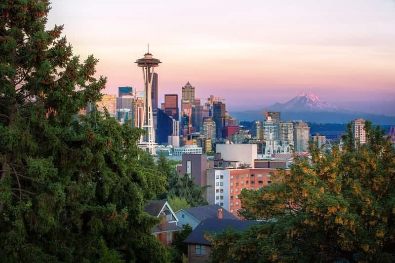 Washington: Emerald City's Emerald-Eyed Thieves (Image Credits: Unsplash)