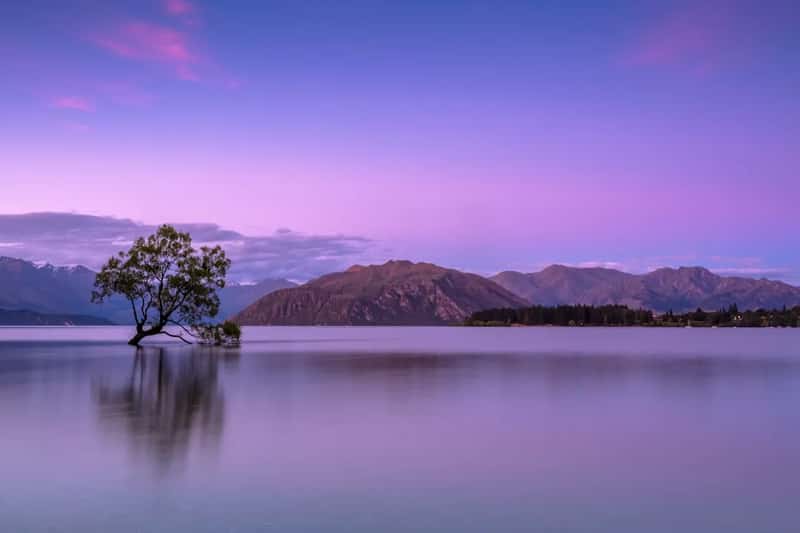 1. New Zealand (Image Credits: Unsplash)