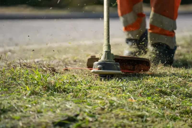 #9 - Cut a Sharp Bed Edge First to Stop Grass From Creeping In (Image Credits: Pexels)