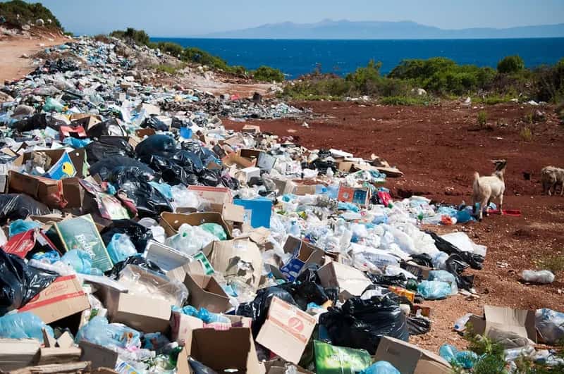 The Environmental Disaster Hiding in Plain Sight (Image Credits: Unsplash)
