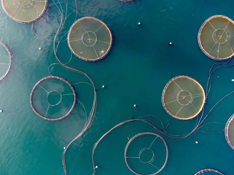 What Comes Next for the Industry (Image Credits: Unsplash)
